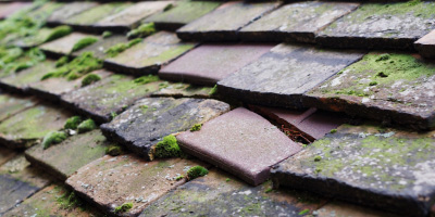 Oakridge roof repair costs